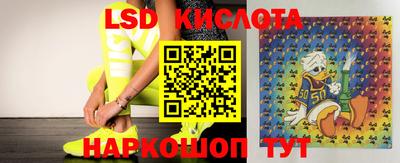 гидра Малоярославец