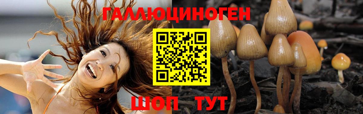 Псилоцибиновые грибы прущие грибы  Вход с VPN  магазин    Усолье-Сибирское 